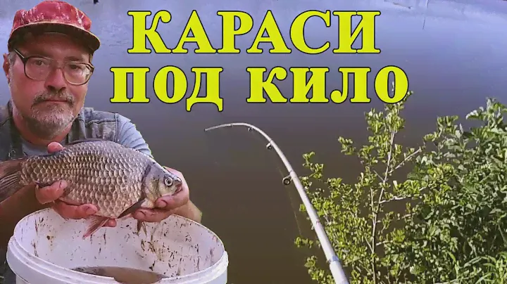 164. Караси под килограмм. Рыбалка в Тульской области на поплавочную удочку. Рыбалка в июле 2022.